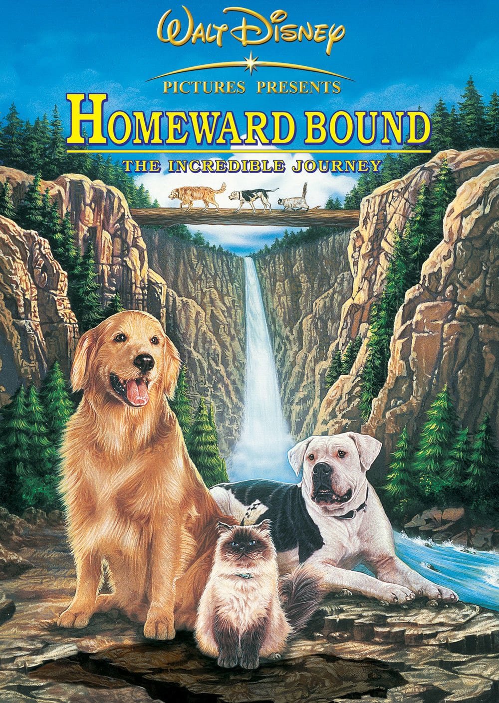 HOMEWARD BOUND